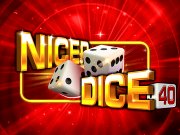 Nicer Dice 40