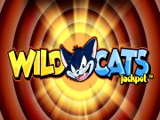 Wild Cats gokkast